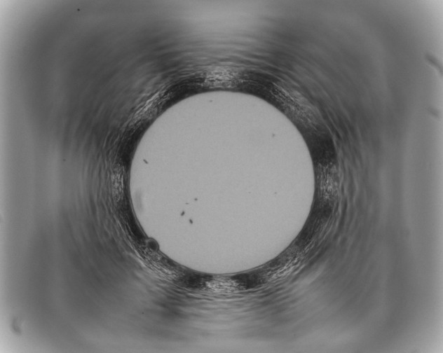 X0000097860603200804111155