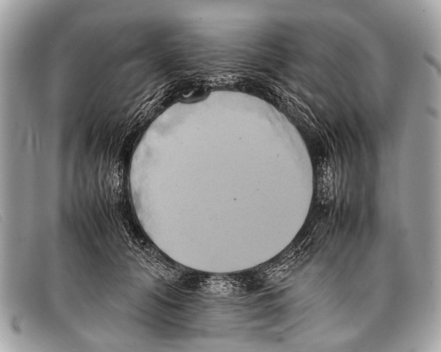 X0000097860608200804111155