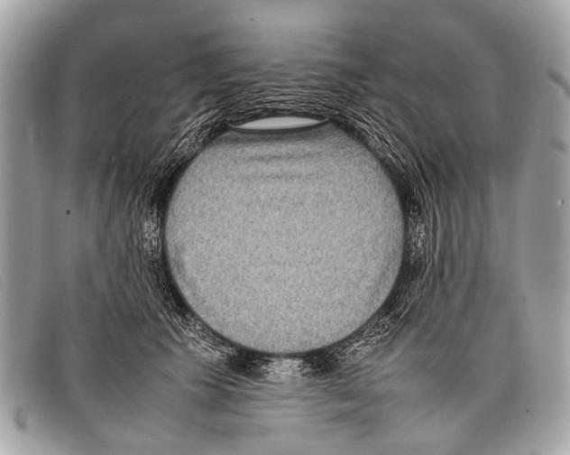 X0000097860609200804111155