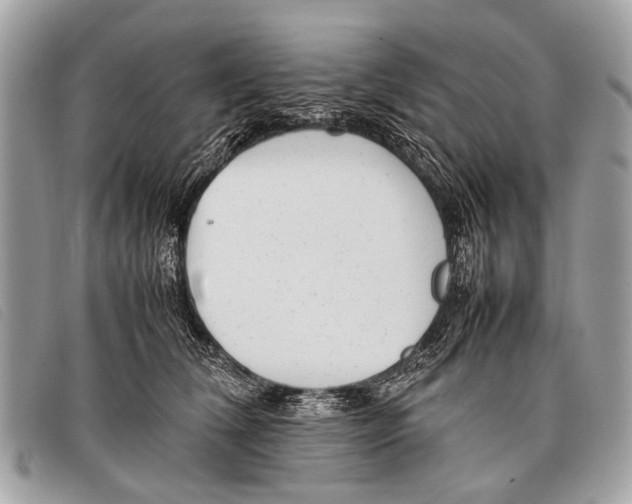 X0000097860612200804111155