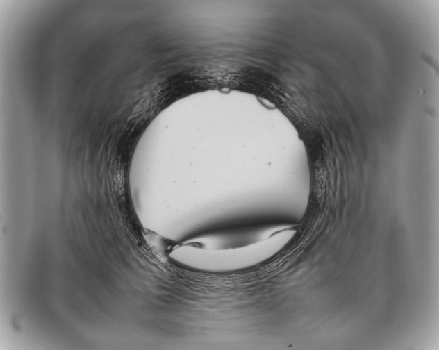 X0000097860613200804111155