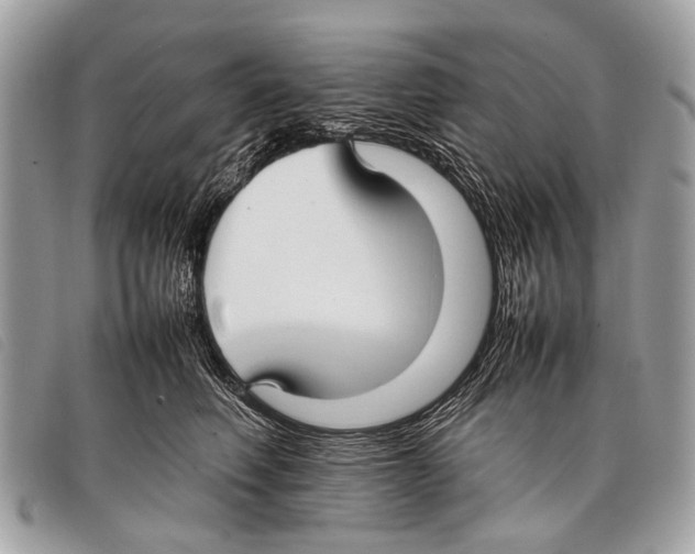 X0000097860614200804111155