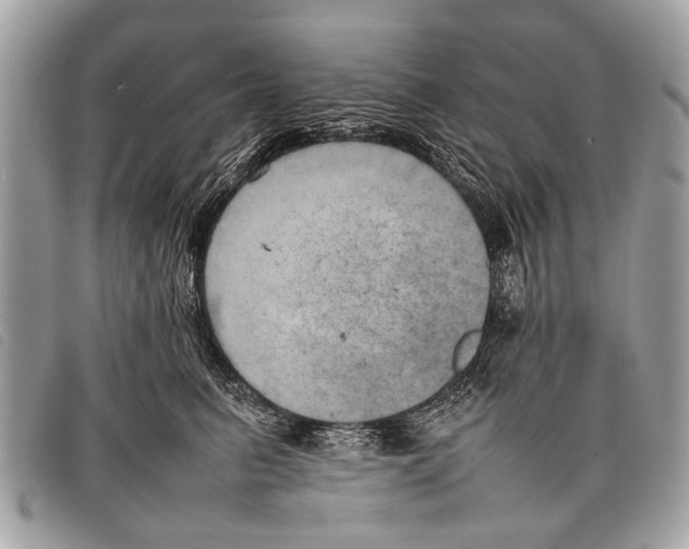 X0000097860615200804111155