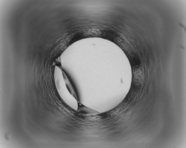 X0000097860617200804111155