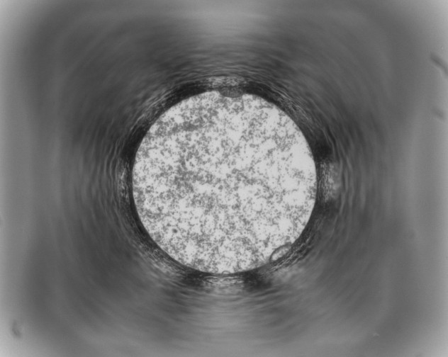 X0000097860619200804111155