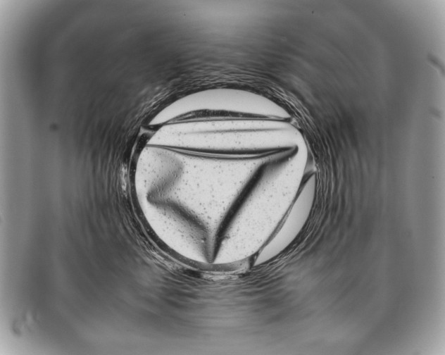 X0000097860621200804111155