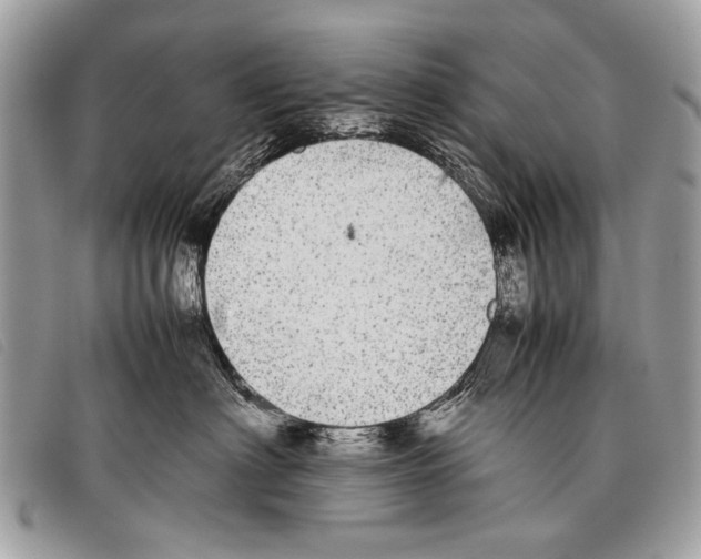 X0000097860622200804111155