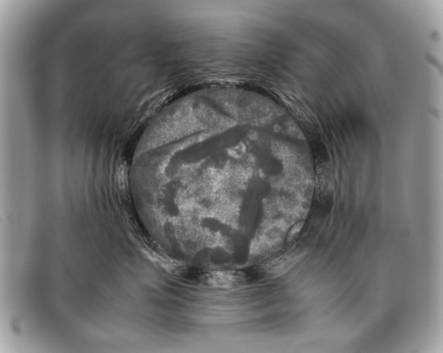 X0000097860623200804111155