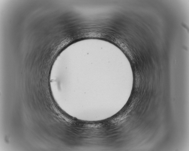 X0000097860625200804111154