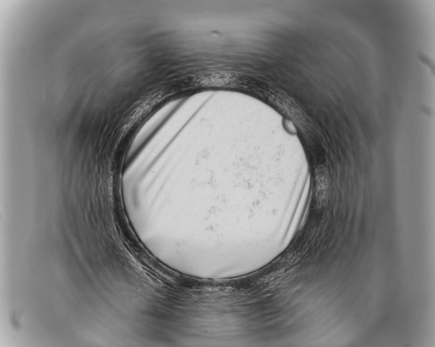 X0000097860626200804111154