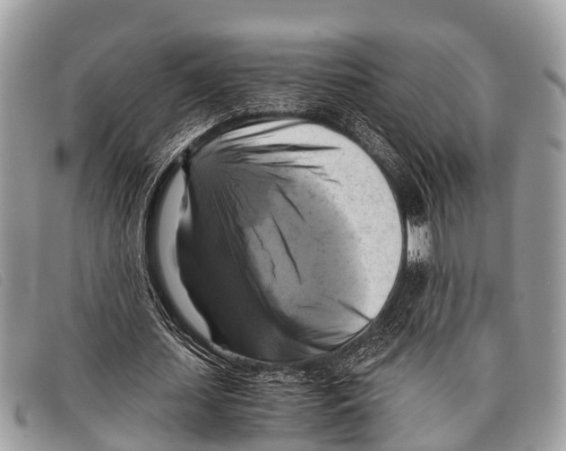 X0000097860627200804111154