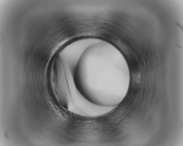 X0000097860628200804111154