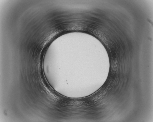 X0000097860629200804111154