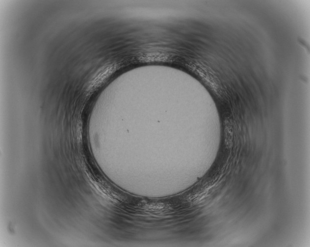 X0000097860631200804111154