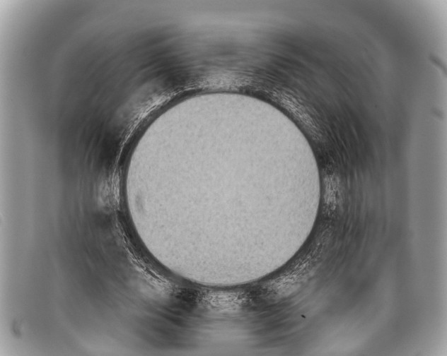 X0000097860632200804111154