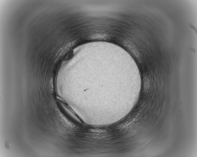 X0000097860633200804111154