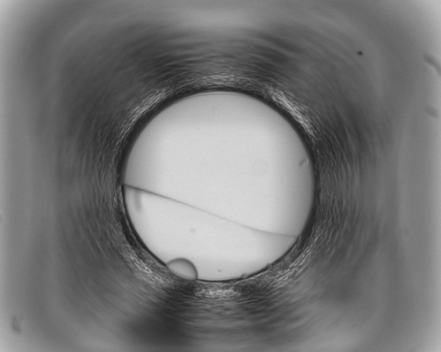 X0000097860637200804111154