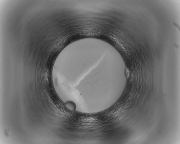 X0000097860643200804111154