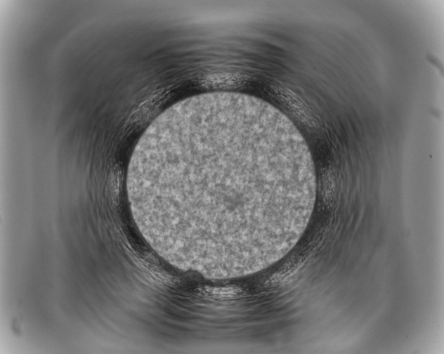 X0000097860645200804111154