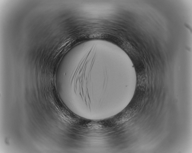 X0000097860648200804111154