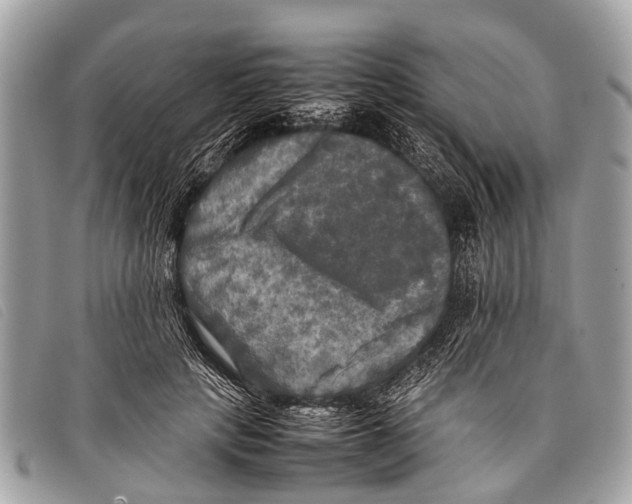 X0000097860649200804111154