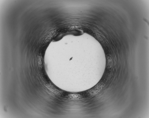 X0000097860654200804111154