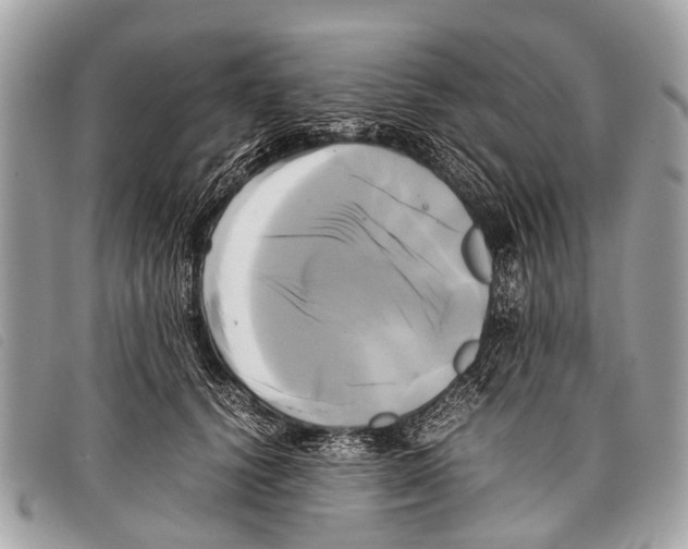 X0000097860656200804111154