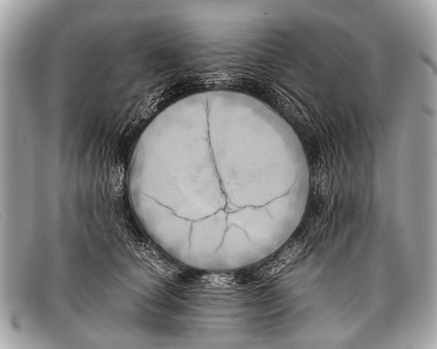 X0000097860660200804111155