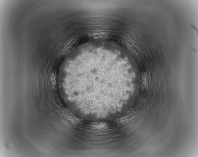 X0000097860667200804111155