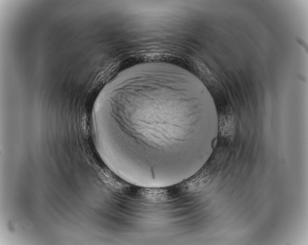 X0000097860670200804111155