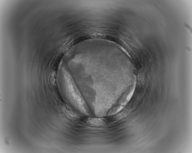 X0000097860671200804111155