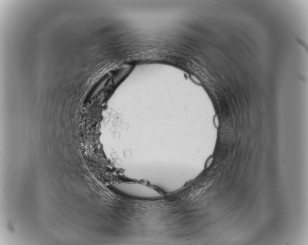 X0000097860673200804111154