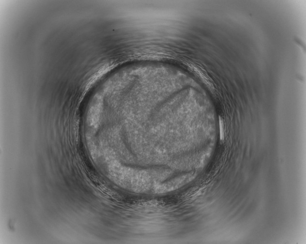 X0000097860675200804111154