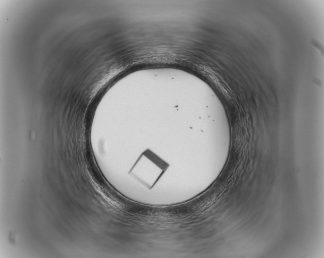 X0000097860677200804111154