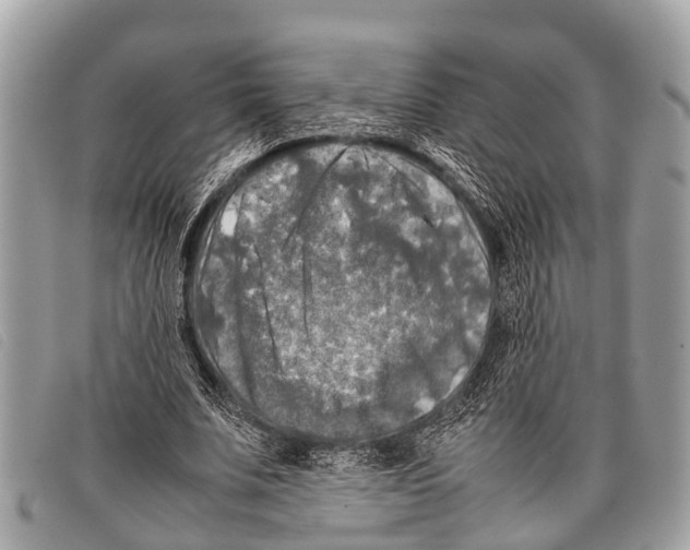 X0000097860679200804111154