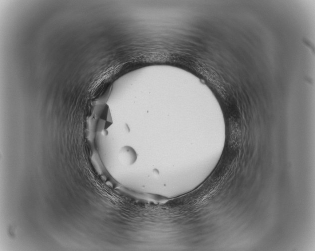 X0000097860681200804111154