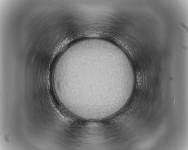 X0000097860682200804111154