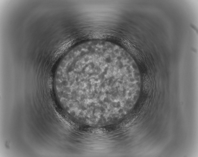 X0000097860683200804111154