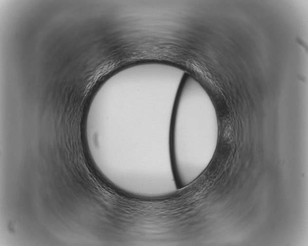 X0000097860685200804111154