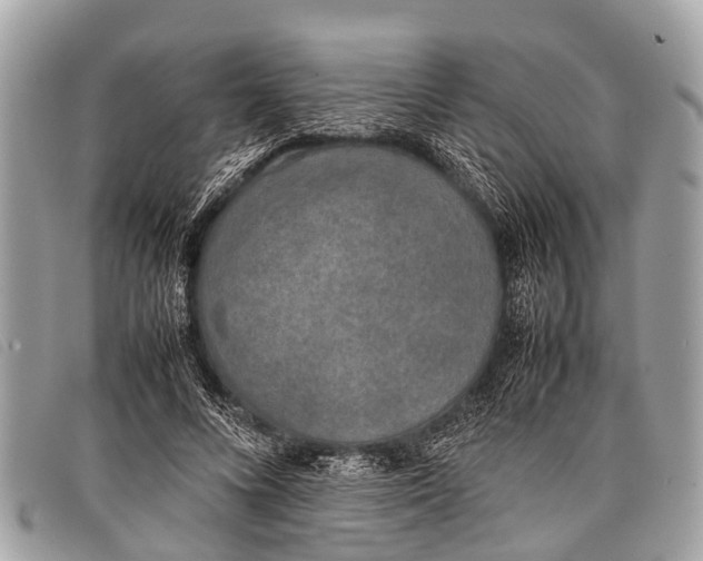 X0000097860688200804111154