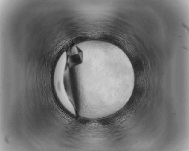 X0000097860689200804111154