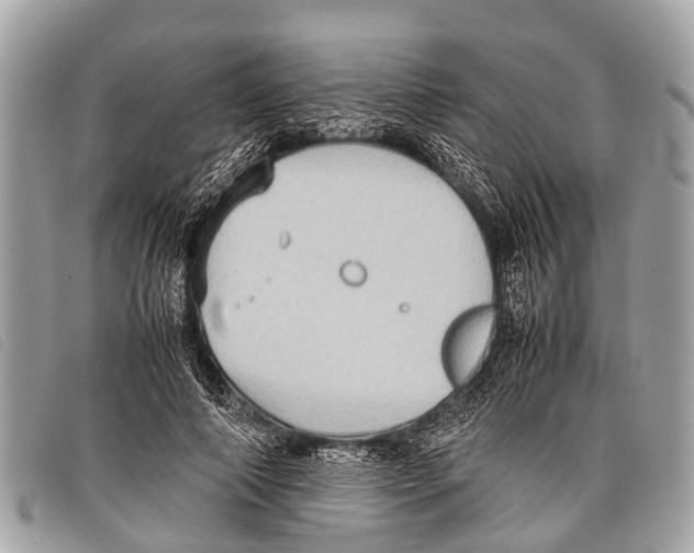 X0000097860690200804111154