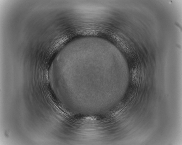 X0000097860692200804111154