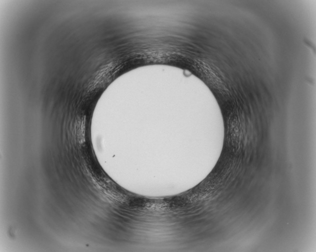 X0000097860694200804111154