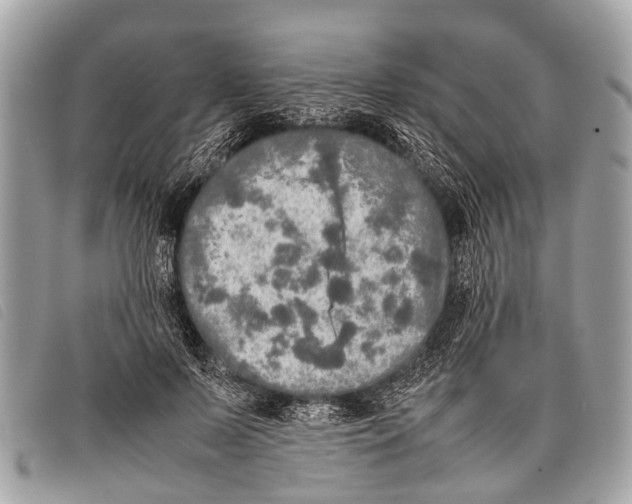 X0000097860695200804111154