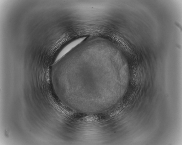 X0000097860696200804111154