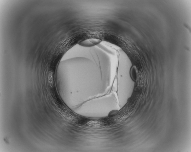 X0000097860699200804111153