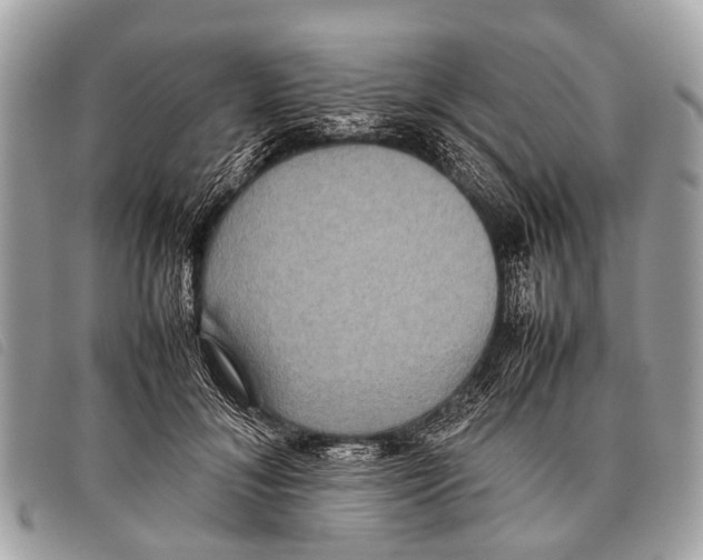 X0000097860700200804111153