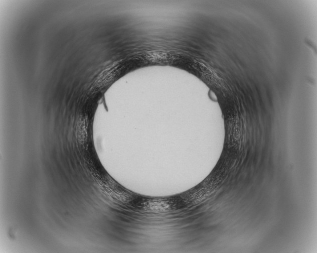 X0000097860702200804111153