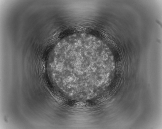 X0000097860703200804111153